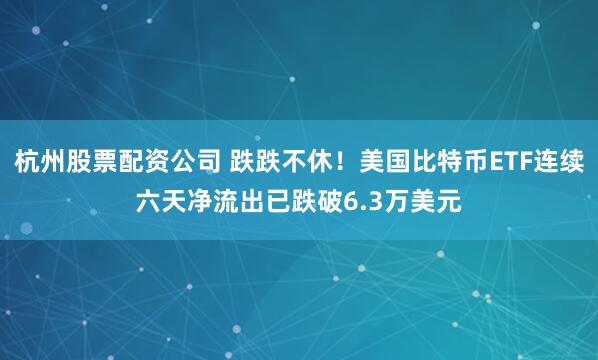 杭州股票配资公司 跌跌不休！美国比特币ETF连续六天净流出已跌破6.3万美元