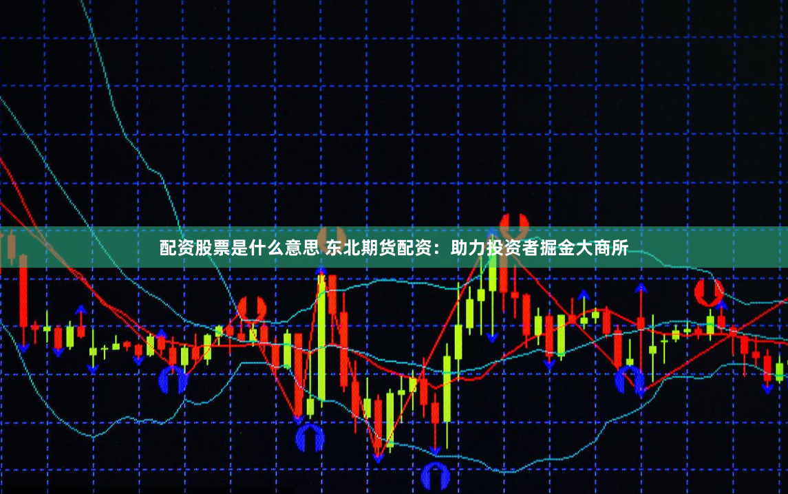 配资股票是什么意思 东北期货配资：助力投资者掘金大商所